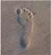 What is Reflexology